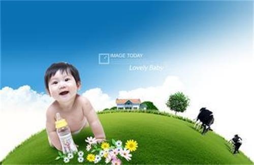 奶瓶消毒器发热盘美科美造 奶瓶消毒器发热盘美科美造